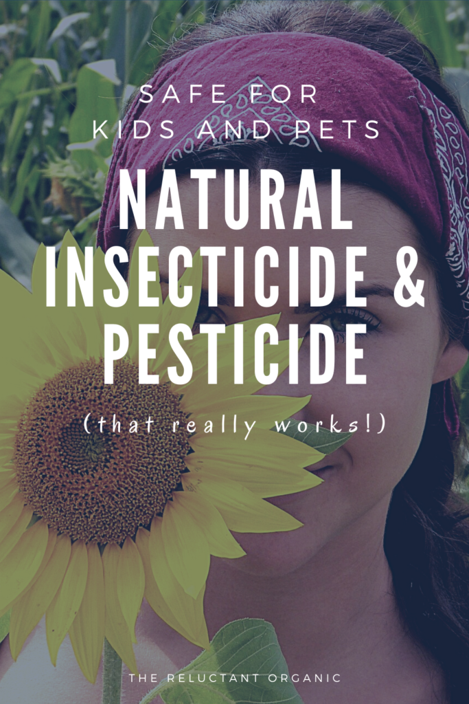difference between insecticides and pesticides
